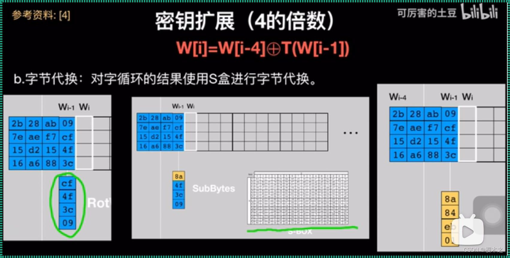 AES扩展密钥：质疑中的科技奥秘探寻