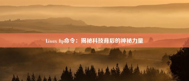 Linux ftp命令：揭秘科技背后的神秘力量