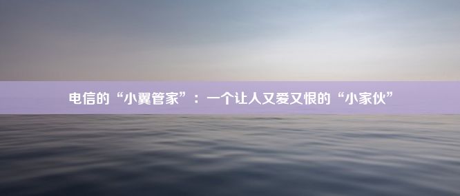 电信的“小翼管家”：一个让人又爱又恨的“小家伙”