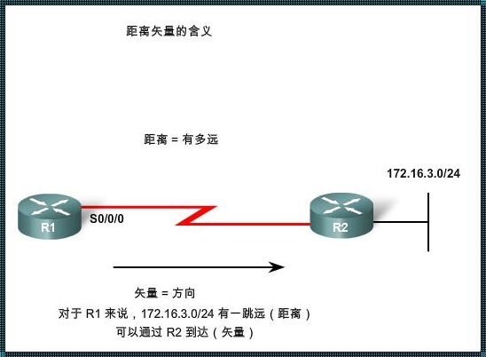 《链路状态与距离矢量：一场可爱的网络协议“掐架”》