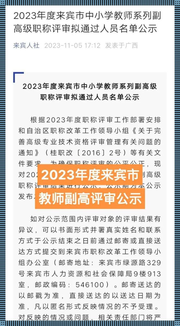 “职称游戏：副高后门，是多还是少？”