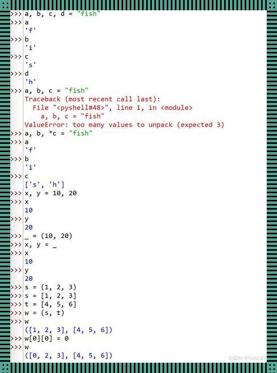 Python元组：一键锁定，恒久不变