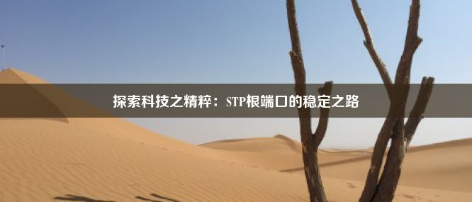 探索科技之精粹：STP根端口的稳定之路