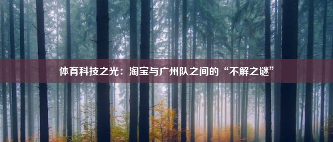 体育科技之光：淘宝与广州队之间的“不解之谜”