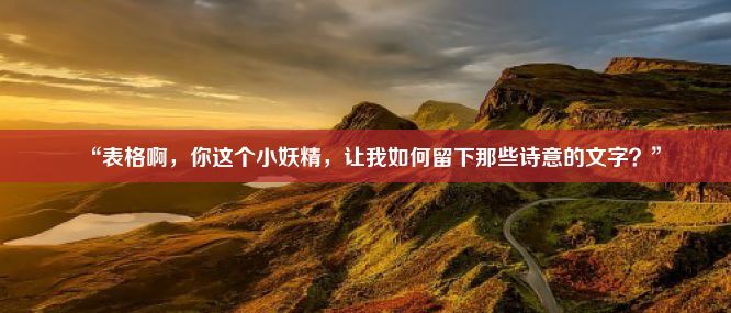 “表格啊，你这个小妖精，让我如何留下那些诗意的文字？”