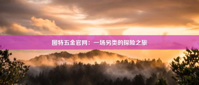 图特五金官网：一场另类的探险之旅