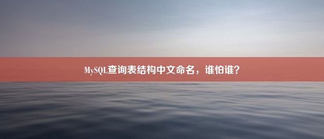 MySQL查询表结构中文命名，谁怕谁？