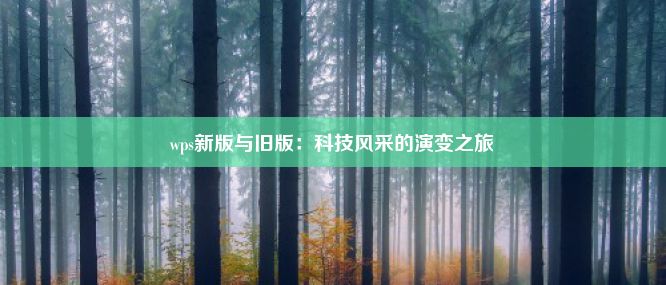 wps新版与旧版：科技风采的演变之旅