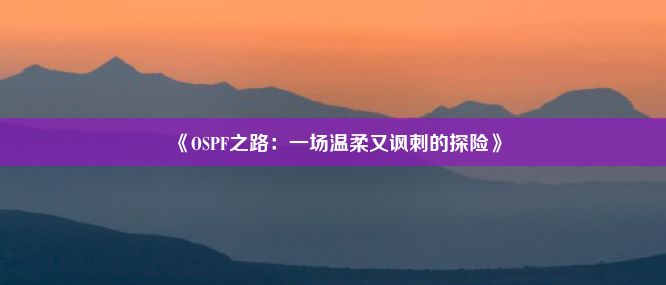 《OSPF之路：一场温柔又讽刺的探险》