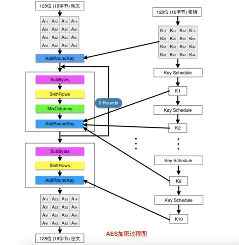 探秘AES硬件加密：科技中的珍稀宝藏