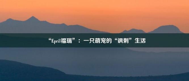 “Epril福瑞”：一只萌宠的“讽刺”生活