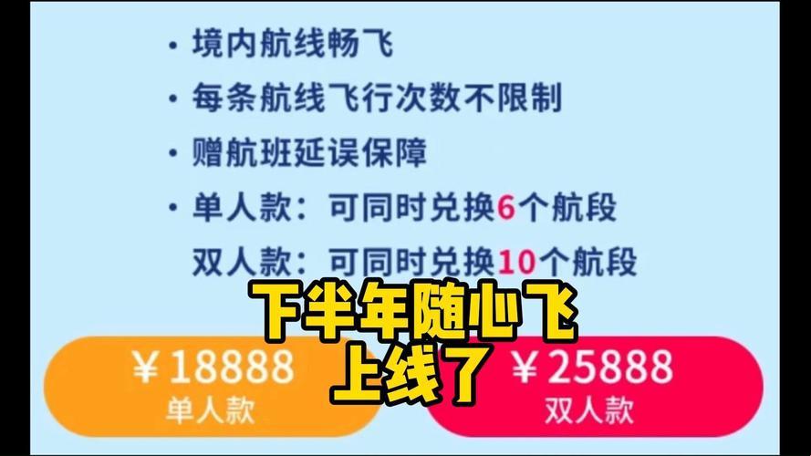 探索“随身飞”办理之谜：科技时代的便捷选择