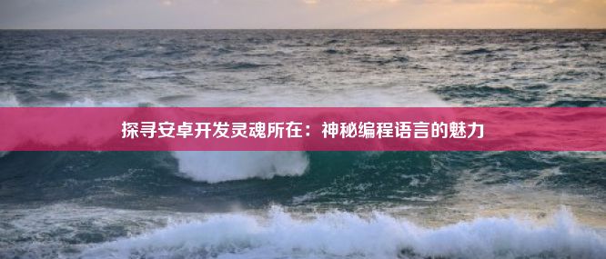 探寻安卓开发灵魂所在：神秘编程语言的魅力