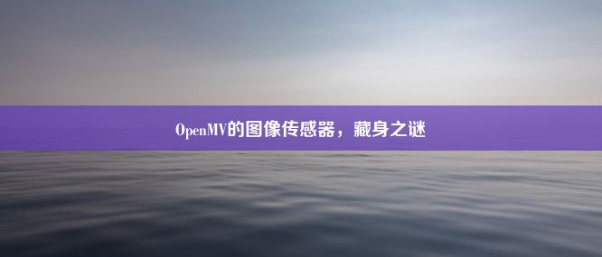 OpenMV的图像传感器，藏身之谜