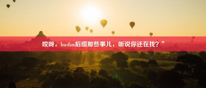 哎呀，busfan后缀那些事儿，听说你还在找？”