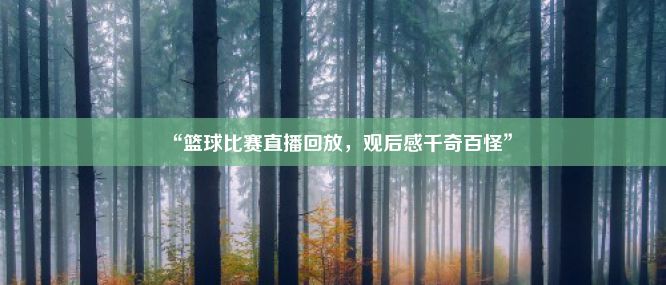 “篮球比赛直播回放，观后感千奇百怪”